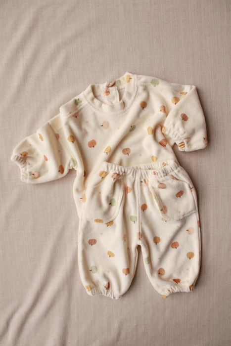 Creamy Pumpkin Soft Mood Takım