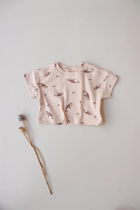 Balina Desen Kaşkorse Üst