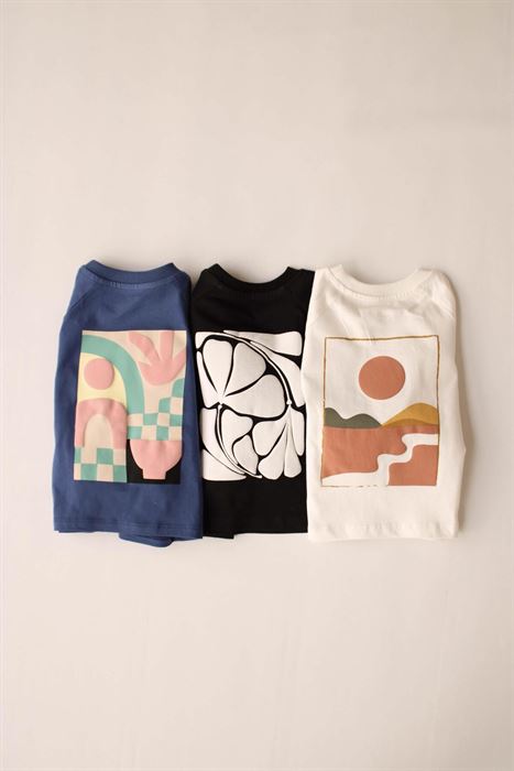 3'lü Sırt Baskılı Uzun Kollu T-Shirt Set