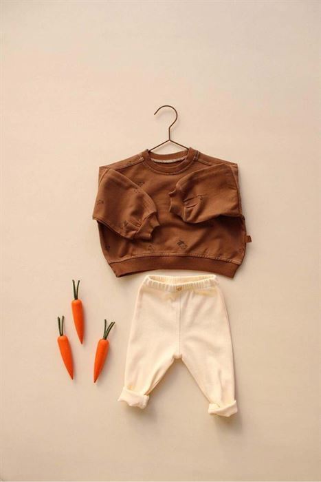 Kahve Penguen Bebek Alt Üst Takım