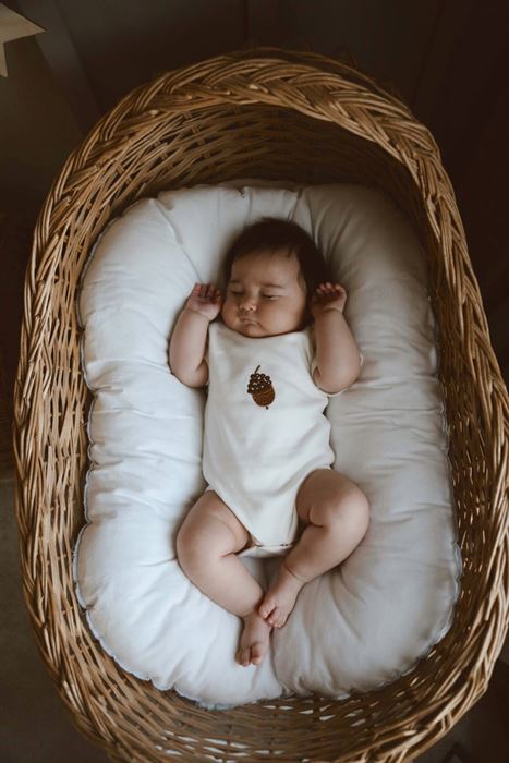 Palamut Nakışlı Çıtçıtlı Body Zıbın